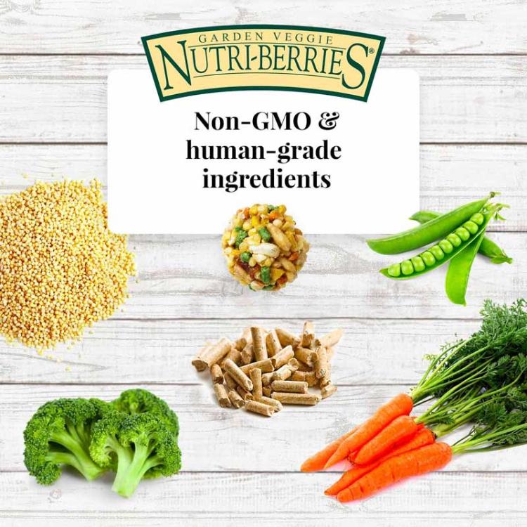 Lafeber Nutri-Berries Garden Veggie – kompletní zeleninové krmivo pro střední a velké papoušky, 284 g od ParrotPlanet.cz