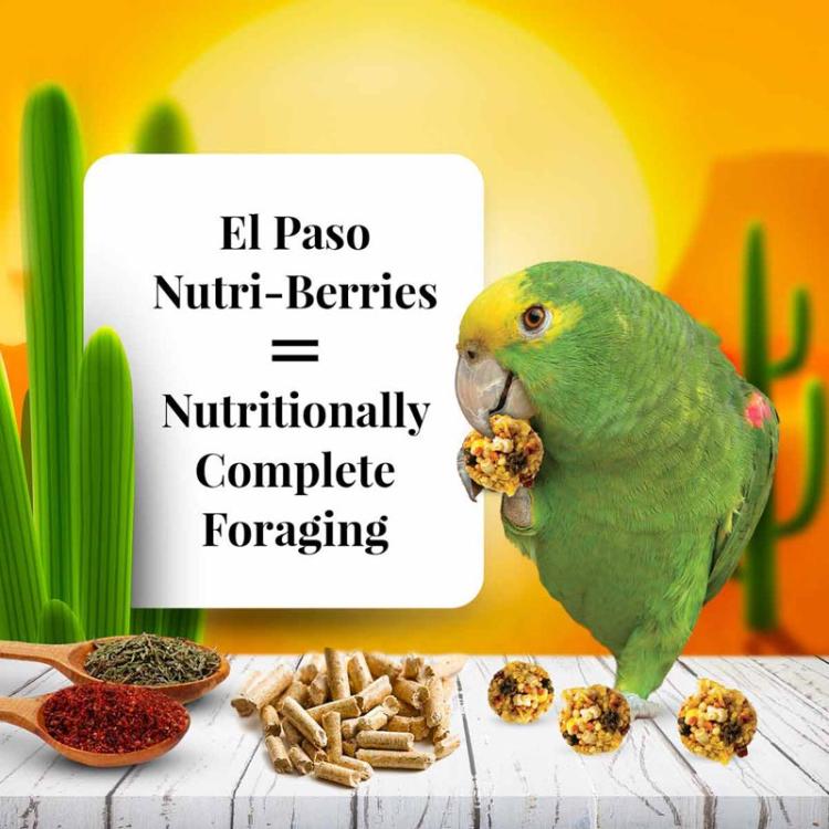 Lafeber NutriBerries El Paso – výživné kuličky ze semen, zeleniny a ovoce s 30 % granulí – pro papoušky od ParrotPlanet.cz