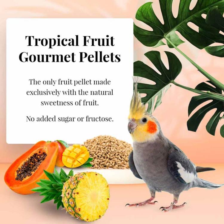 Lafeber Gourmet Pellets Tropical Fruit Cockatiel – kompletní granule s tropickým ovocem pro korely, 567 g od ParrotPlanet.cz