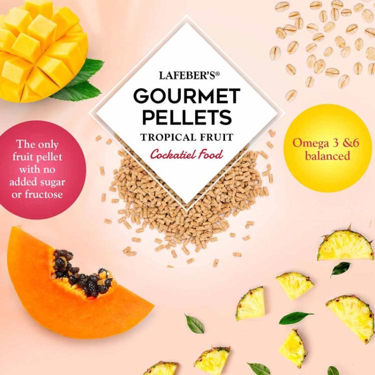 Lafeber Gourmet Pellets Tropical Fruit Cockatiel – kompletní granule s tropickým ovocem pro korely, 567 g od ParrotPlanet.cz