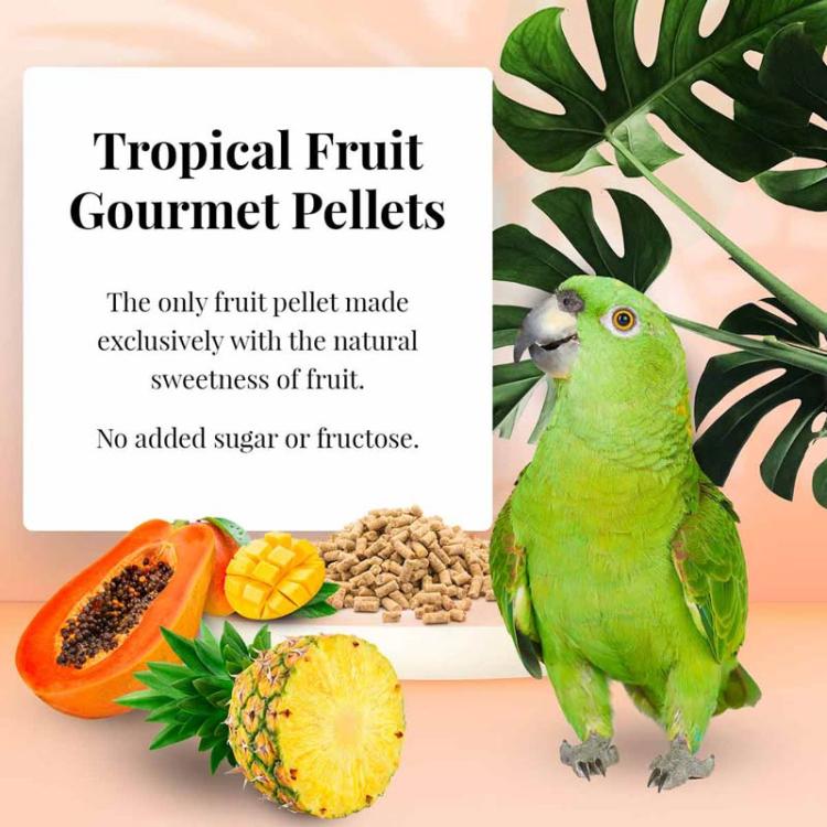 Lafeber Gourmet Pellets Tropical Fruit Parrots – kompletní granule s tropickým ovocem pro střední a velké papoušky, 567 g od ParrotPlanet.cz