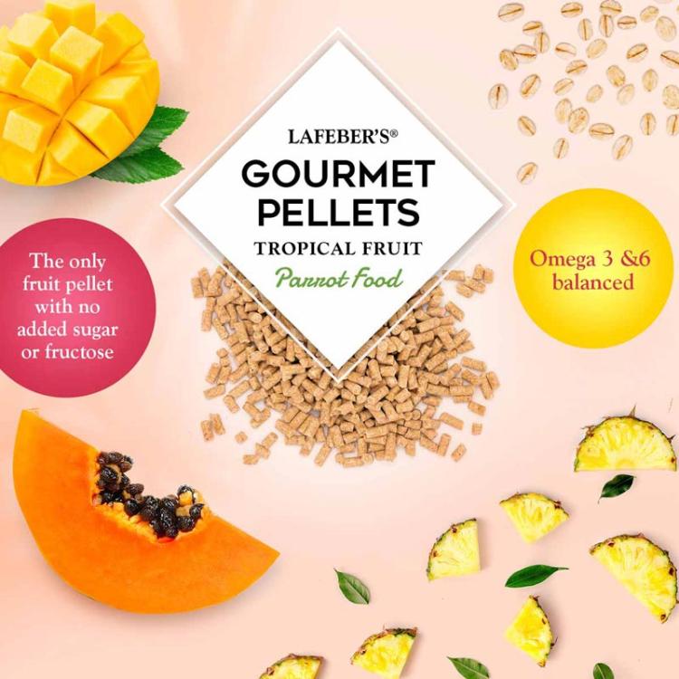Lafeber Gourmet Pellets Tropical Fruit Parrots – kompletní granule s tropickým ovocem pro střední a velké papoušky, 567 g od ParrotPlanet.cz