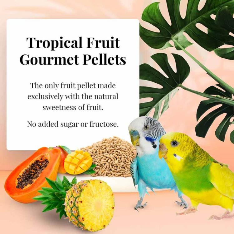 Lafeber Gourmet Pellets Tropical Fruit Budgies – kompletní granule s tropickým ovocem pro andulky, 567 g od ParrotPlanet.cz