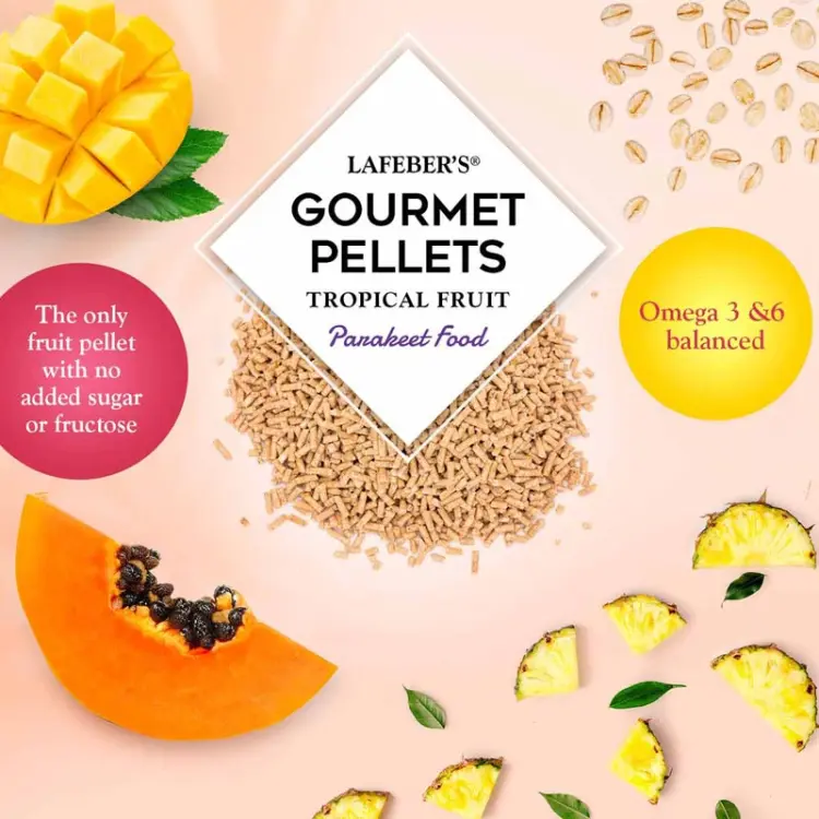 Lafeber Gourmet Pellets Tropical Fruit Budgies – kompletní granule s tropickým ovocem pro andulky, 567 g od ParrotPlanet.cz