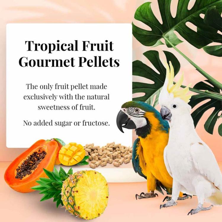 Lafeber Gourmet Pellets - Tropical Fruit - Macaw &amp; Cockatoo - Vyvážené krmivo: granule s ovocem pro papoušky ara a kakadu 567 g od ParrotPlanet.cz