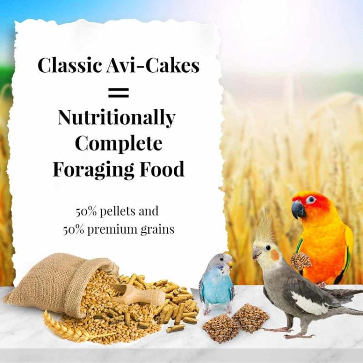 Lafeber Original AviCakes for Cockatiels – Vyvážená strava: zrno s granuláty ve tvaru sušenek pro papoušky a jiné papoušky 230 g od ParrotPlanet.cz