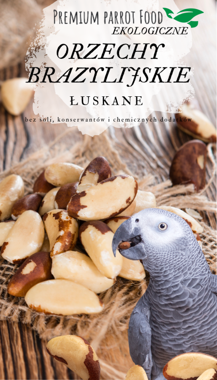 Premium Parrot Food - Ekologické brazilské ořechy - pro všechny papoušky 100 g od ParrotPlanet.cz