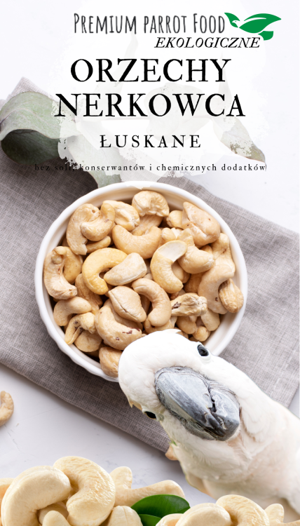 Premium Parrot Food - Ekologické kešu ořechy - pro všechny papoušky 100 g od ParrotPlanet.cz