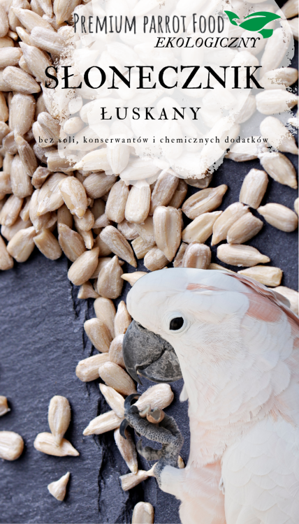 Premium Parrot Food – ekologické loupané slunečnice – pro všechny papoušky 100 g od ParrotPlanet.cz