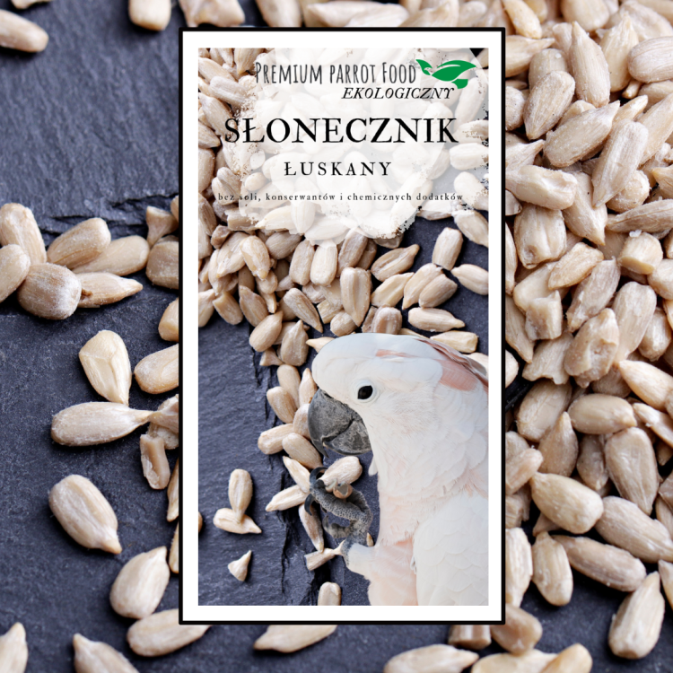 Premium Parrot Food – ekologické loupané slunečnice – pro všechny papoušky 100 g od ParrotPlanet.cz