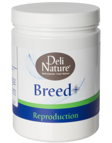 Deli Nature Breed + – doplněk pro papoušky na hnízdění 500 g od ParrotPlanet.cz