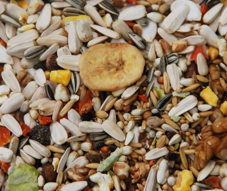 Deli Nature 57 – směs Excellent s 40 % slunečnice pro velké papoušky 15 kg  od ParrotPlanet.cz