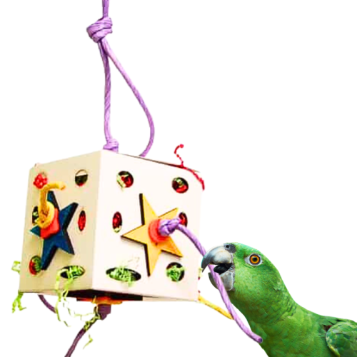 Modrý přepravní box | Přepravní box pro malé a střední papoušky od ParrotPlanet.cz