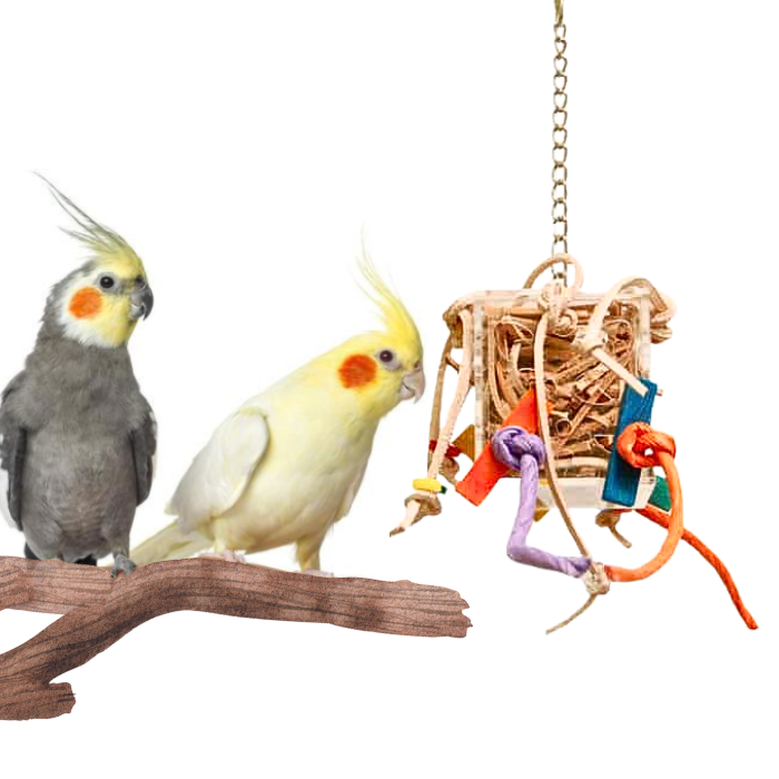 Crazy Box S – hračka pro malé papoušky od ParrotPlanet.cz