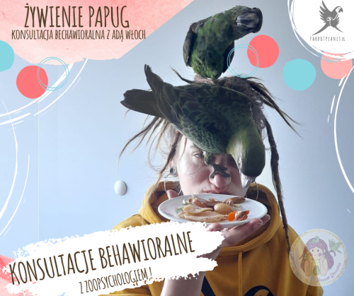Výživa papoušků – konzultace s behavioristou od ParrotPlanet.cz