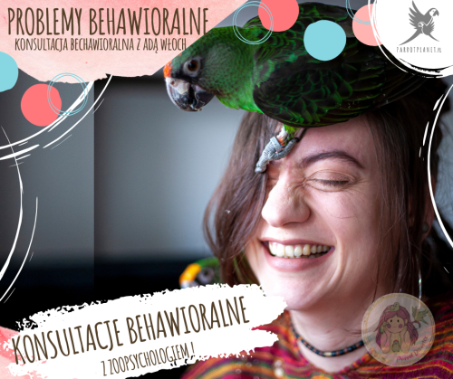 Problémy s chováním (agresivita, křik, klování, strach) - Konzultace s behavioristou od ParrotPlanet.cz