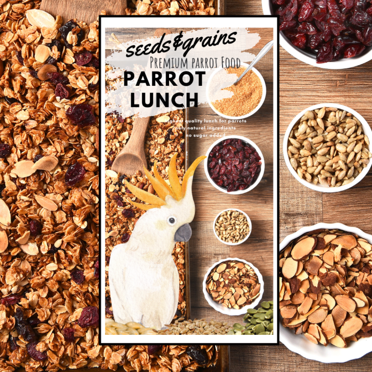 Seeds &amp; Grains Parrot Lunch | Obědové nebo snídaňové jídlo pro papoušky | Rychlé, zdravé a chutné | Teplé nebo studené od ParrotPlanet.cz