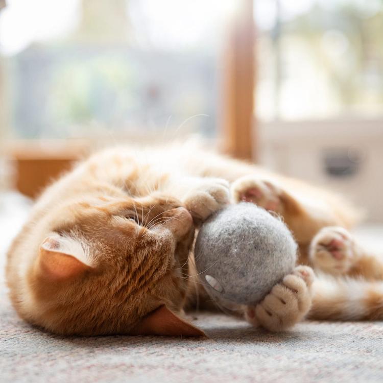 Vlněná koule s kočičí mátou | Canadian Cat od ParrotPlanet.cz