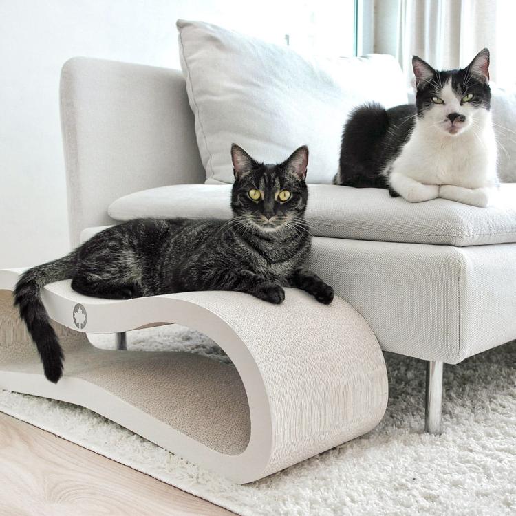 ORBIT 2.0. | Škrabadlo pro KOČKY | Canadian Cat | WHITE EDITION | Bílé od ParrotPlanet.cz