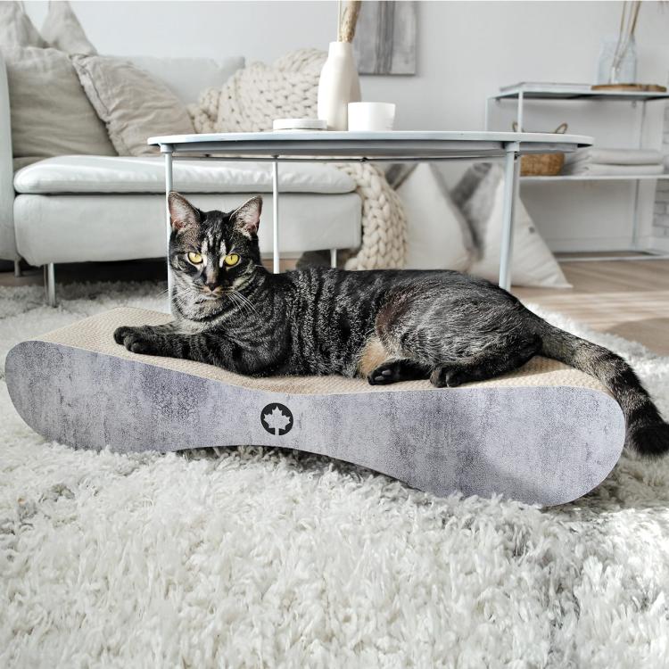 Satellite 2.0. | Škrabadlo pro KOČKY | Canadian Cat | vzhled betonu od ParrotPlanet.cz