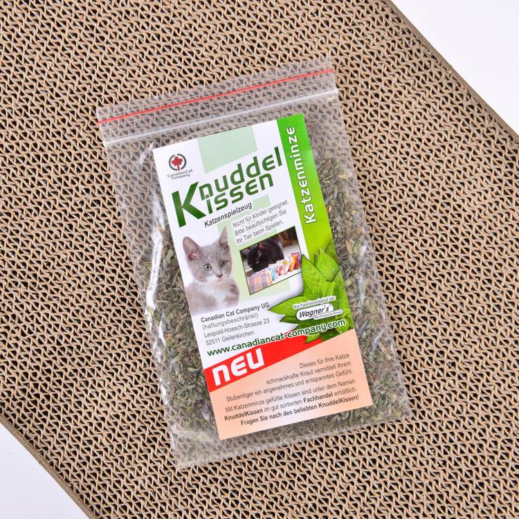 Orbit 2.0. SMALL | Škrabadlo pro KOČKY | Canadian Cat | Vzhled betonu od ParrotPlanet.cz