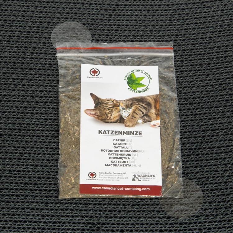 Satellite 2.0. SMALL | Škrabadlo pro KOČKY | Canadian Cat | BLACK EDITION | Černá od ParrotPlanet.cz
