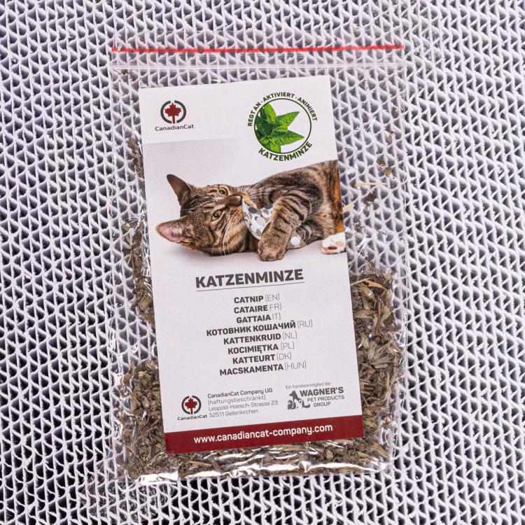 COMET XL | Škrabadlo pro KOČKY Canadian Cat | WHITE EDITION | BÍLÉ od ParrotPlanet.cz