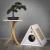 Triangle House | Úkryt, škrabadlo, jeskyně | Canadian Cat | Bílá od ParrotPlanet.cz