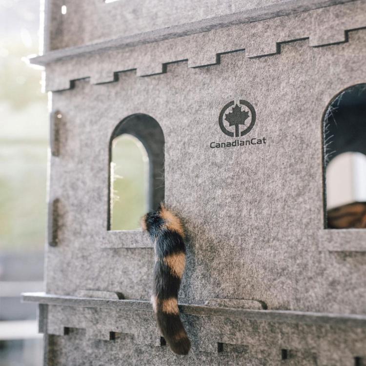 Felty Fort | Kočičí hrad | Canadian Cat | 3 patra | s polštářem od ParrotPlanet.cz