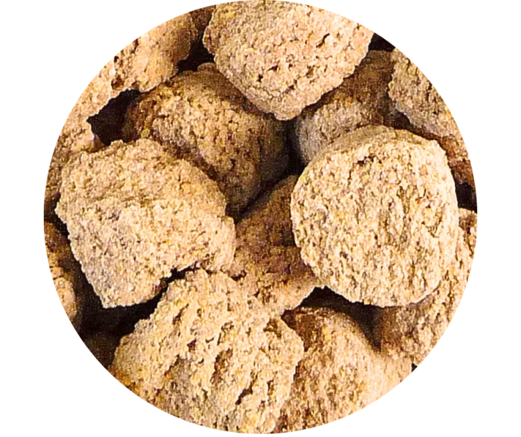VETAFARM- MACAW NUTS - Celoroční OŘECHOVÉ granule pro ary a jiné papoušky  Jižní Ameriky 2 kg od ParrotPlanet.cz