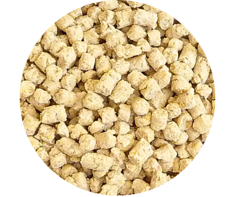VETAFARM- Maintenance Diet - Celoroční granule pro VŠECHNY PAPOUŠKY 2 kg od ParrotPlanet.cz