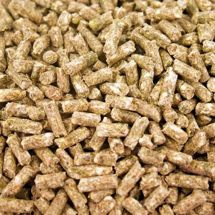 TOP’s Parrot Pellets – BIO granule pro papoušky všech velikostí, 453 g od ParrotPlanet.cz