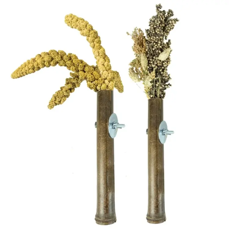 Back Zoo Nature - Držák na proso pro všechny papoušky od ParrotPlanet.cz