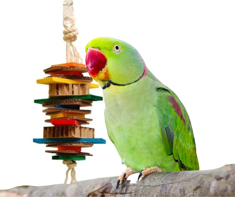 MiszMasz Medium – barevná a přírodní hračka pro malé a střední papoušky od ParrotPlanet.cz