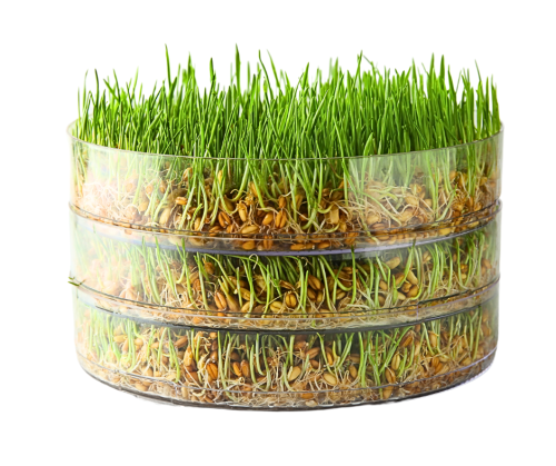 3úrovňový klíčník | Klíčky pro papoušky | Snadné a spolehlivé klíčení od ParrotPlanet.cz