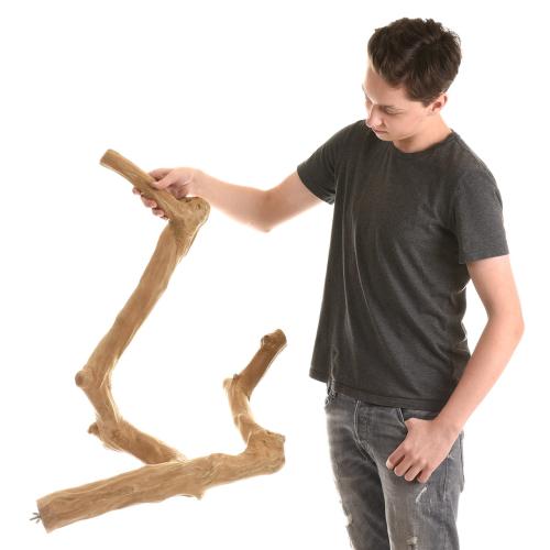 JAVA větev XL - Nezničitelná tyč z javového dřeva pro největší papoušky od ParrotPlanet.cz