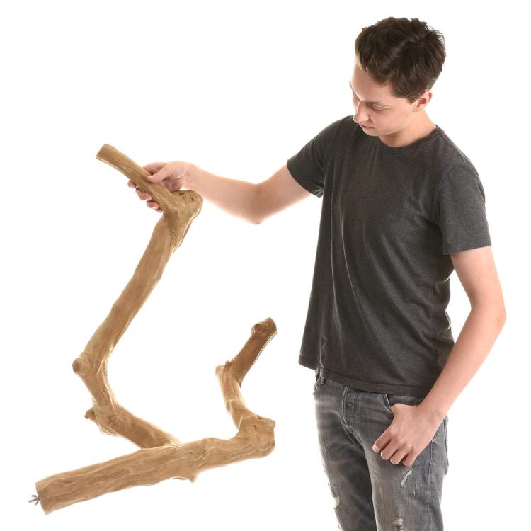 JAVA větev XL - Nezničitelná tyč z javového dřeva pro největší papoušky od ParrotPlanet.cz