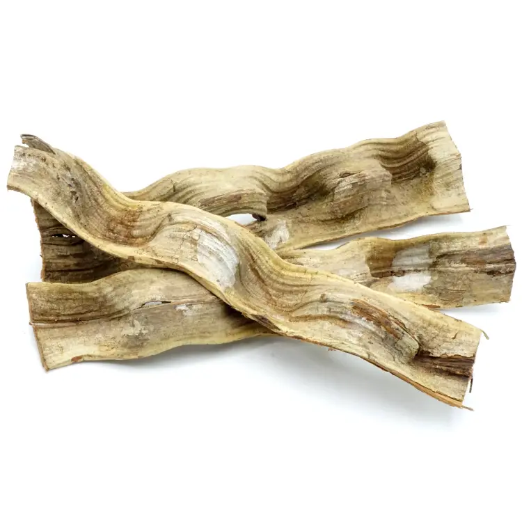 Silná brazilská liana – pro všechny papoušky 50 cm od ParrotPlanet.cz