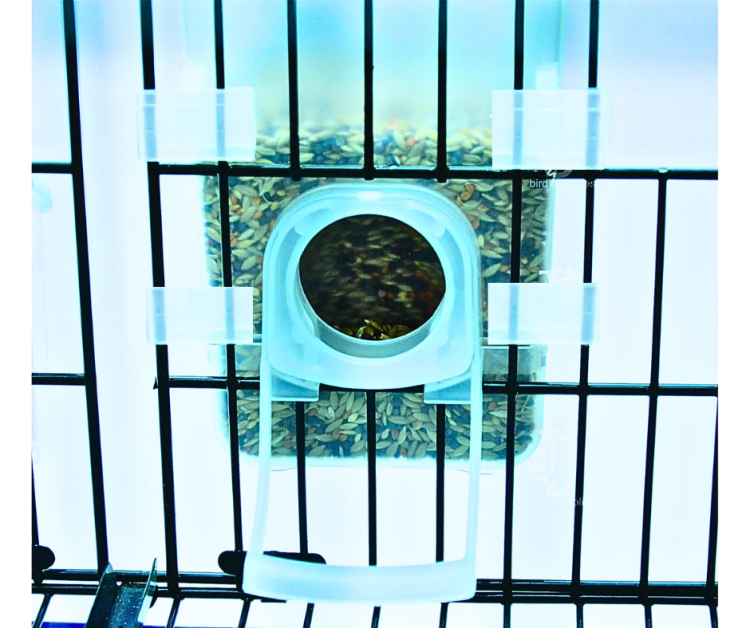 2GR | Automatický krmítko omezující rozhazování zrna | Kreativní miska | Pro velké a střední papoušky | Na 250 g krmiva od ParrotPlanet.cz