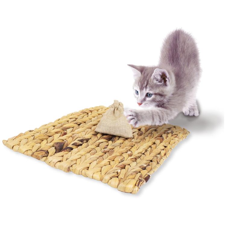 JR FARM |podložka s přísadou catnipu| hračka pro kočky od ParrotPlanet.cz