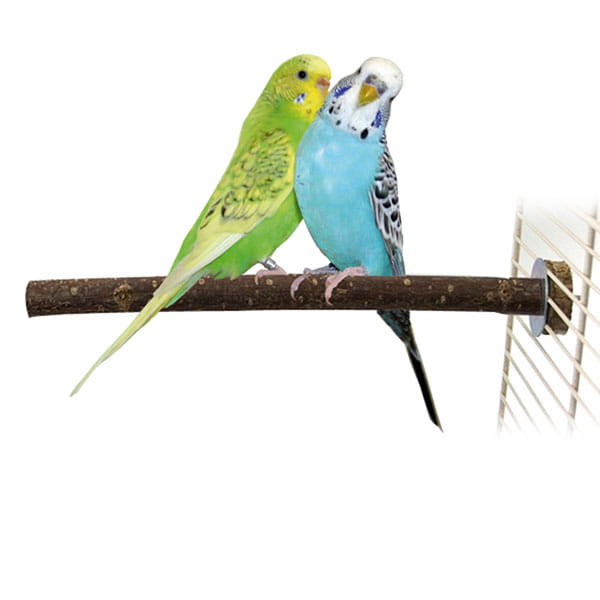 Živá příroda | Přírodní, jednoduchá tyčinka | pro malé a střední papoušky od ParrotPlanet.cz