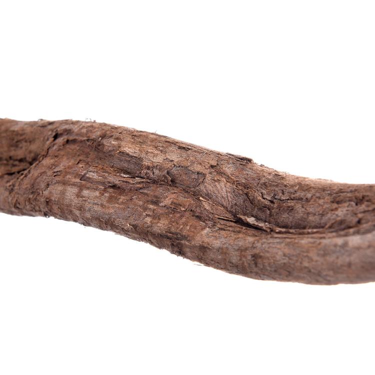 Přírodní bidélko | Liana s upevněním | pro střední papoušky | průměr cca 2,5 cm od ParrotPlanet.cz