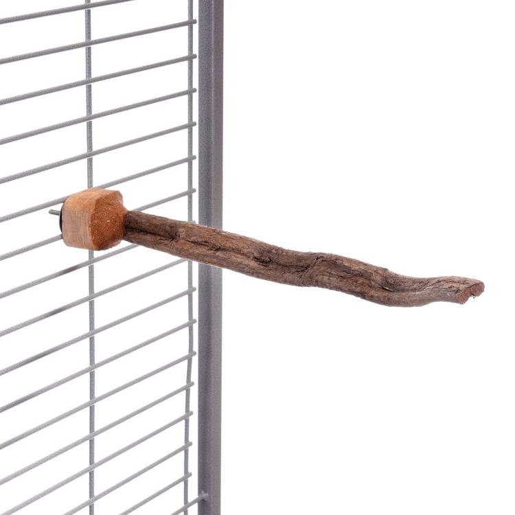 Přírodní bidélko | Liana s upevněním | pro střední papoušky | průměr cca 2,5 cm od ParrotPlanet.cz