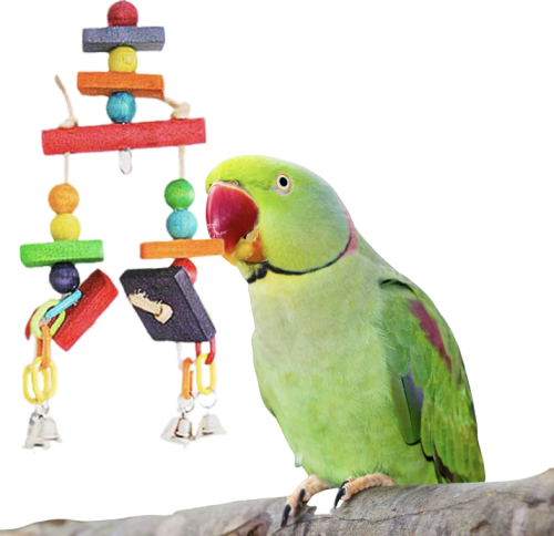 RIO | Dřevěná hračka | Přirozená radost pro papoušky od ParrotPlanet.cz