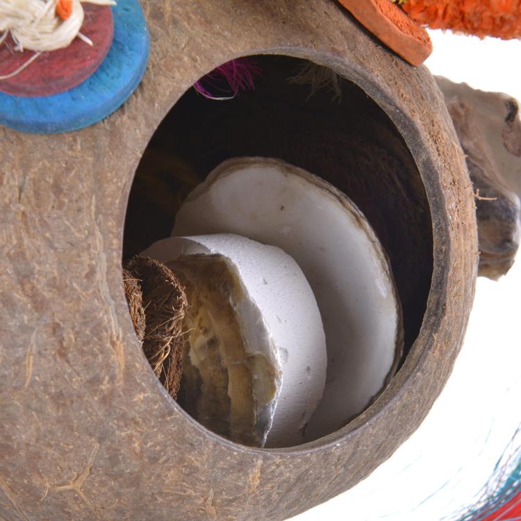 Kokos s mnoha překvapeními | Přírodní hračka ze dřeva a kukuřice | pro všechny papoušky od ParrotPlanet.cz