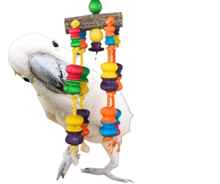 Simply Wood Toy | velmi barevná hračka pro papoušky od ParrotPlanet.cz
