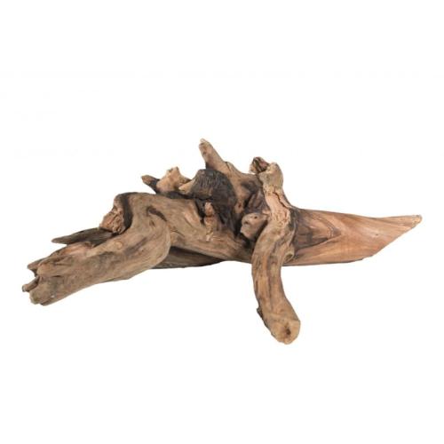 Přírodní kořen 3 kusy - pro malé a střední papoušky od ParrotPlanet.cz