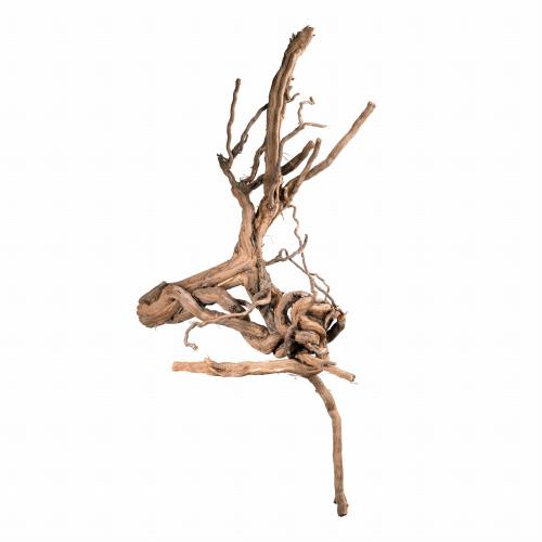 Přírodní kořen vinné révy - pro všechny papoušky od ParrotPlanet.cz