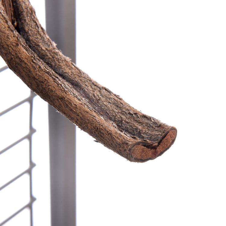 Přírodní tyč z liány s upevněním | velikost M – 30 cm | pro nymfy a jiné podobné druhy papoušků od ParrotPlanet.cz