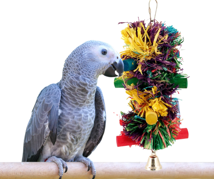 Pom Pom | Hračka z listů pro střední papoušky od ParrotPlanet.cz